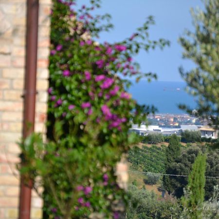 Agriturismo Il Sapore Della Luna Монтепрандоне Экстерьер фото