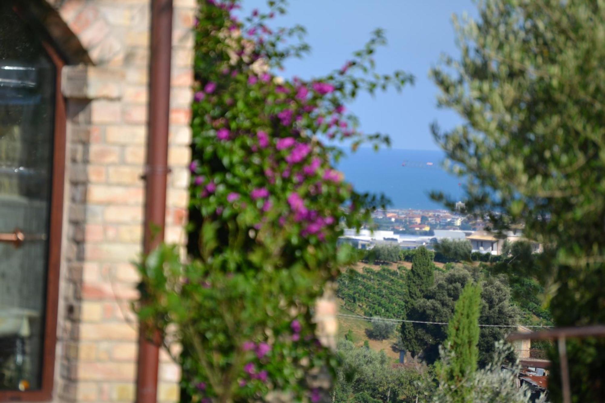 Agriturismo Il Sapore Della Luna Монтепрандоне Экстерьер фото